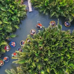 Bay Mau Coconut Forest