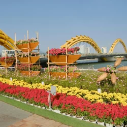 Dragon Bridge, Da Nang, Vietnam