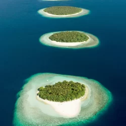 Baa Atoll, Maldives
